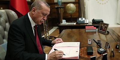 Cumhurbaşkanı Kararı Resmî Gazete’de Yayımlandı: Afyon’daki Sahipsiz Hayvanlar İçin Önemli Adım!